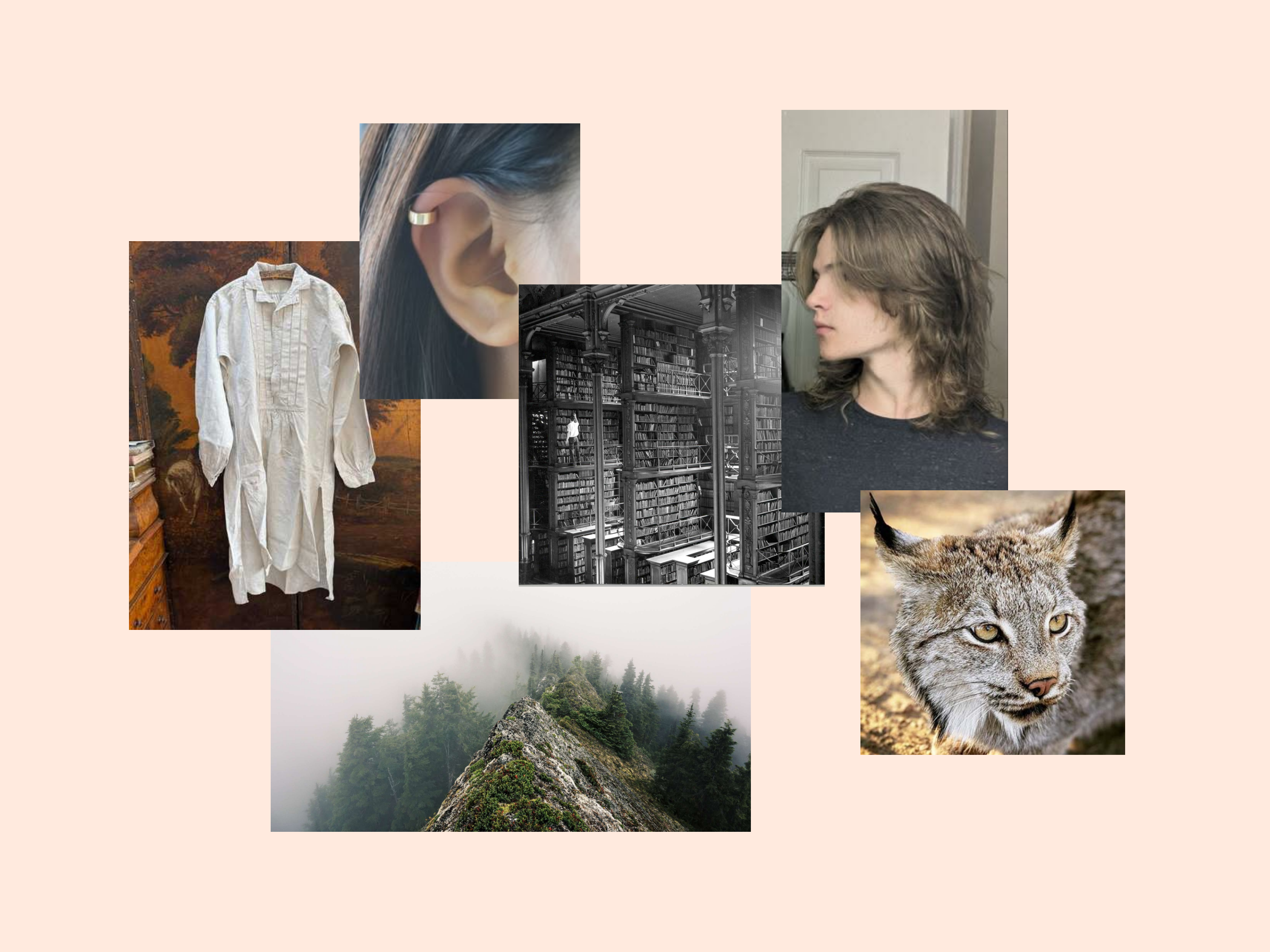 A collage of things that fit Rudy's aesthetic. A large, old library, foggy mountains, a helix piercing, an antique frock, long and wavy brown hair, and an image of a lynx.